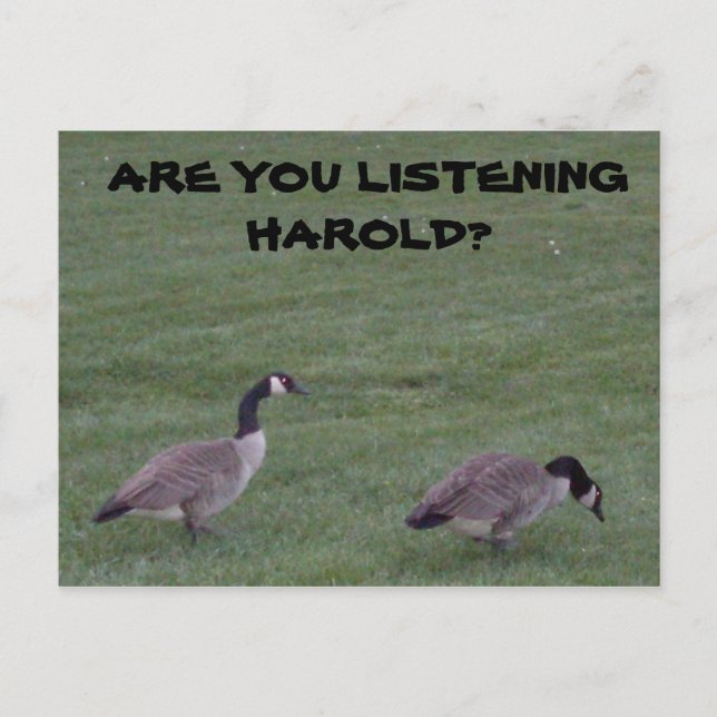 LYSSNAR DU PÅ HAROLD? VYKORT (Framsida)