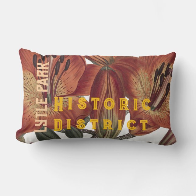 Lytle Park Historical District Throw Pilloow Lumbarkudde (Framsida)