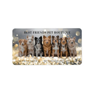 Lyxig Hundpromenerare / Husdjursvakt Returadress Adressetikett