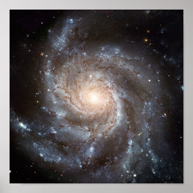 M101 Galaxy Poster (Framsidan)