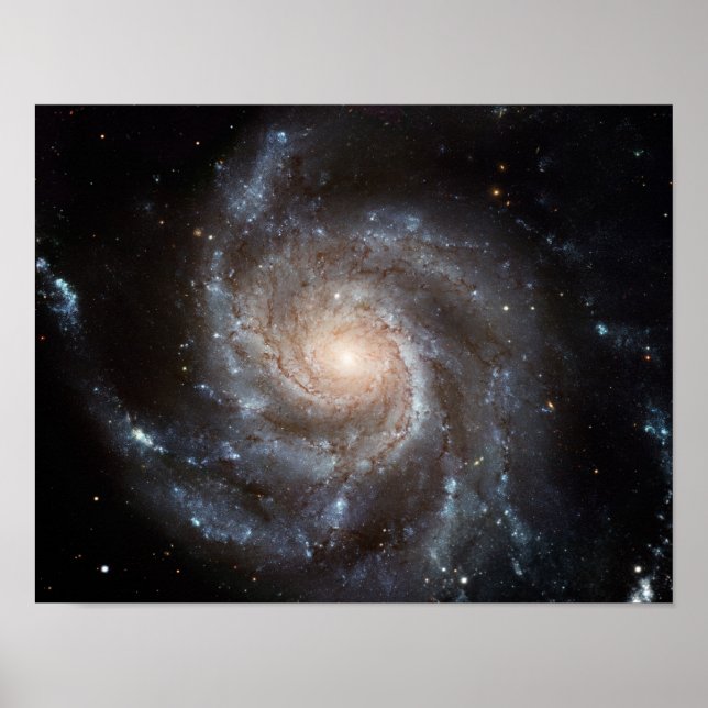 M101 Pinjul Spiral Galaxy NASA Poster (Framsidan)