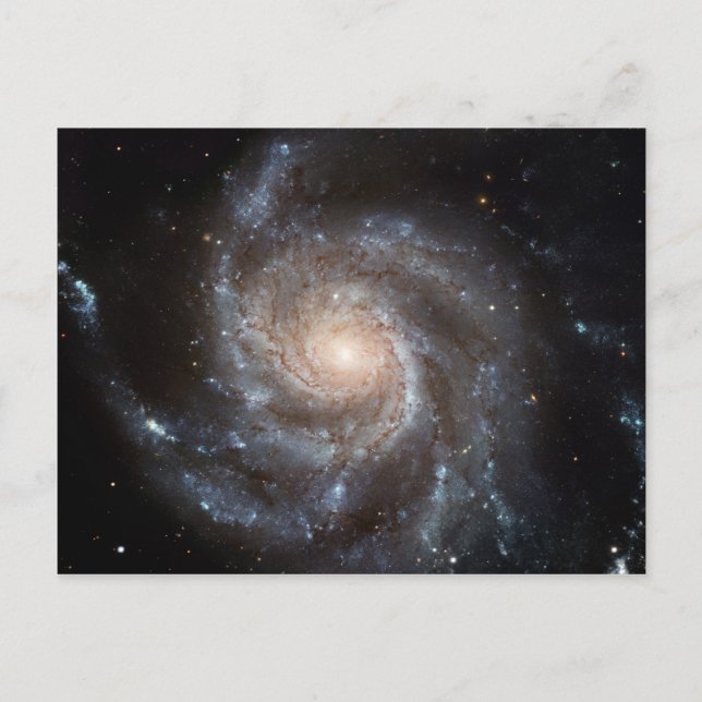 M101 Pinjul Spiral Galaxy NASA Vykort (Framsida)
