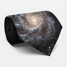 M101 Ritjul Spiral Galaxy NASA rymdfoto Slips