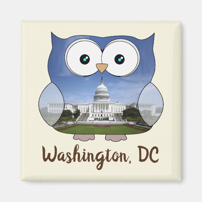 M190132 Knubbiget Uggla | Washington DC i Souvenir Magnet (Framsidan)