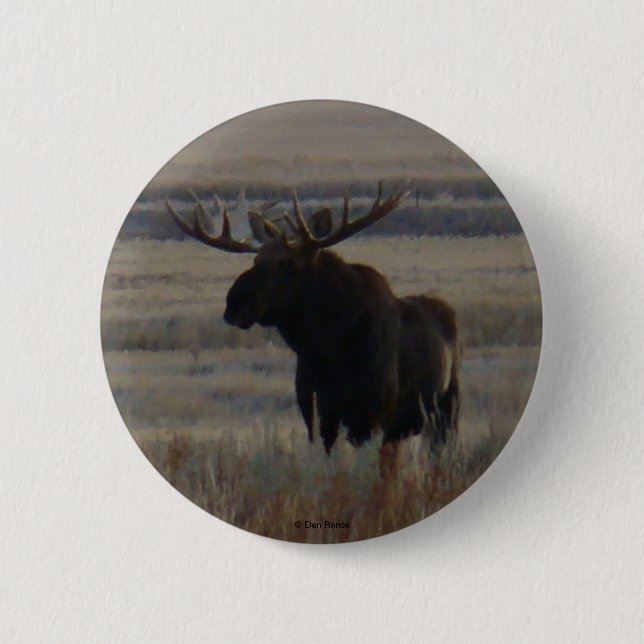 M1 Bull Moose Knapp (Framsida)