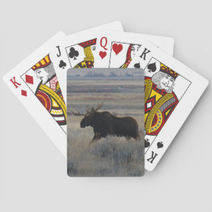 M2 Älg Casinokort