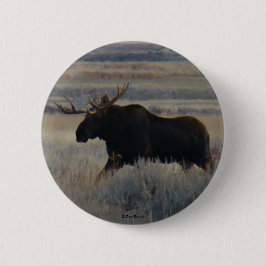 M2 Bull Moose Knapp