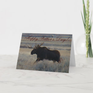 M2 Bull Moose Kort