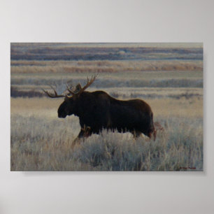 M2 Bull Moose Poster