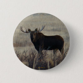 M3 Bull Moose Knapp
