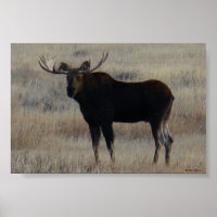 M4 Älg Stora Tjuren