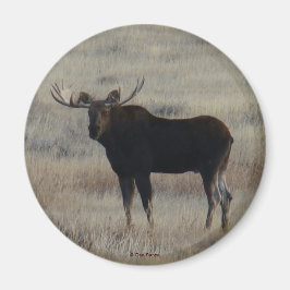 M4 Bull Moose Magnet