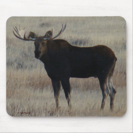 M4 Bull Moose Musmatta
