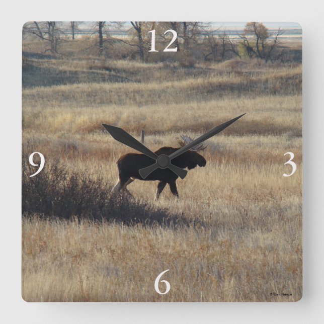 M5 Älg och Sandåsar Fyrkantig Klocka (Framsida)