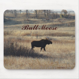 M5 Bull Moose Musmatta