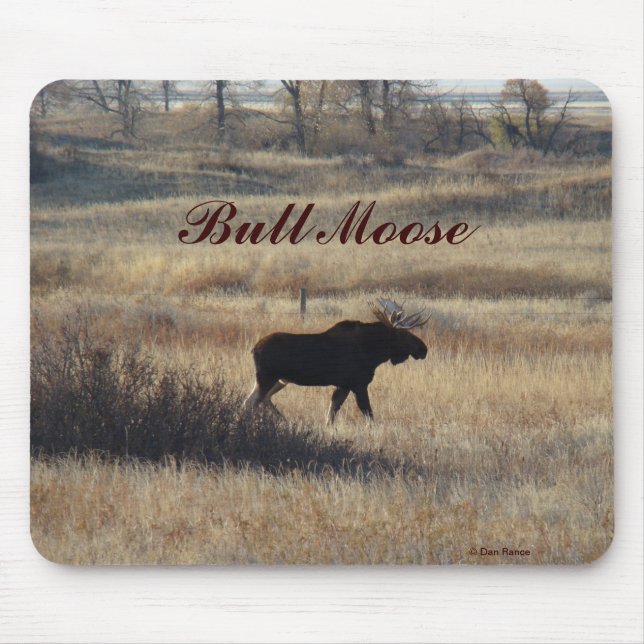 M5 Bull Moose Musmatta (Framsidan)