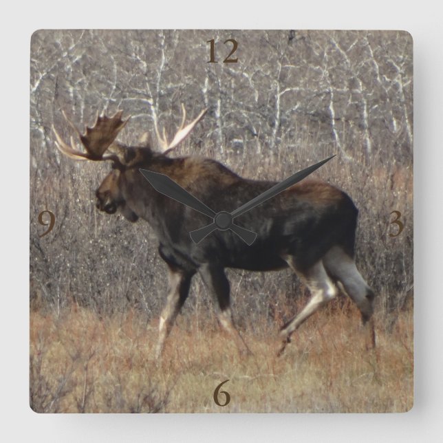 M8 Bull Moose Fyrkantig Klocka (Framsida)