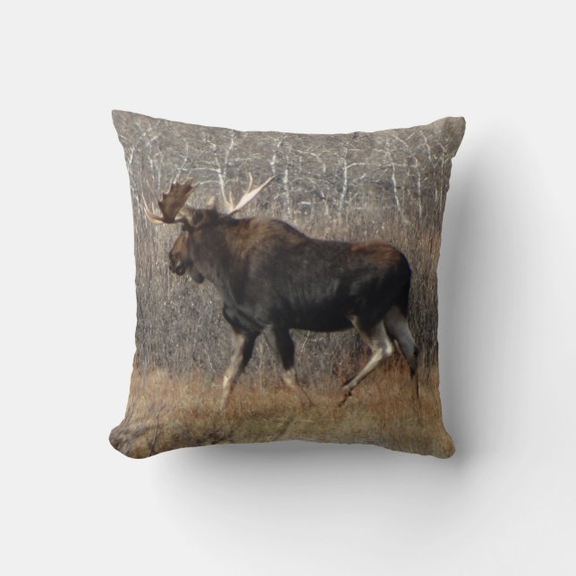M8 Bull Moose Kudde (Framsida)