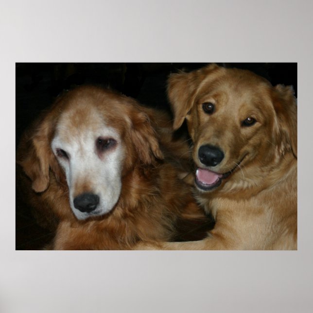 M & H 2 POSTER (Framsidan)