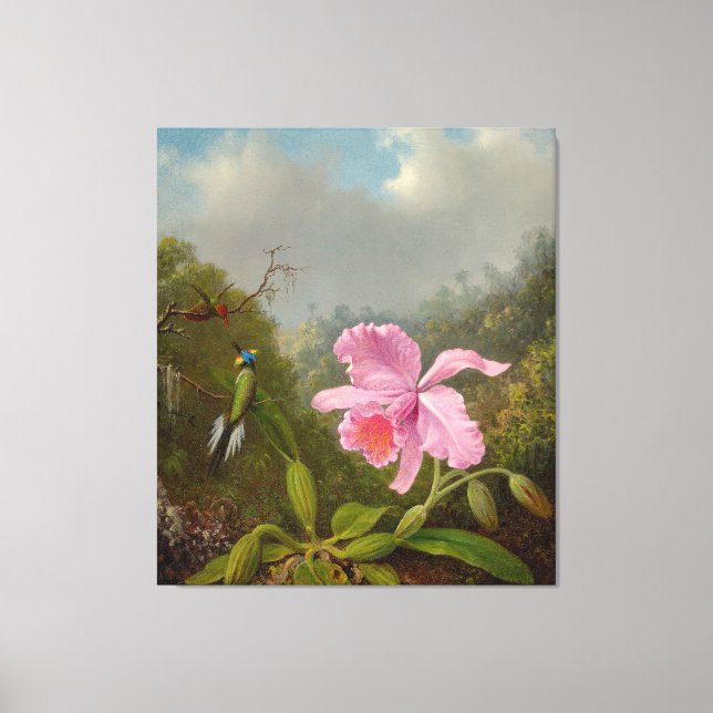 M. HEADE - Bekämpning av Hummingbird med Rosa Orch Canvastryck (Framsida)