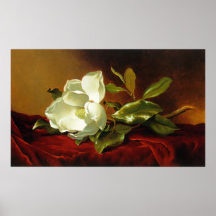 M J Heade Magnolia på Red Velvet Poster