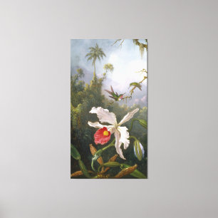 M. J. HEADE Two Hummingbird Ove White Orchid Canvastryck