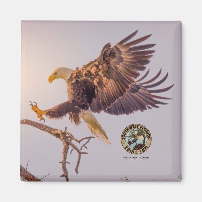 M SWFL Eagle Cam Magnets 2021 Magnet (Framsidan)