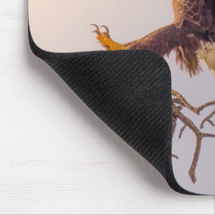M SWFL Eagle Cam Mouse Pad 2021 Musmatta