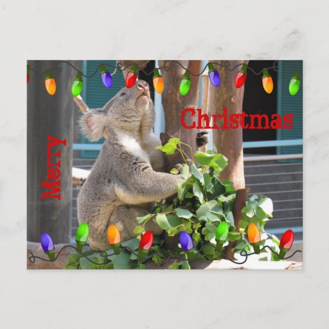 Må din ljus visa sig smart. vykort (Framsida)