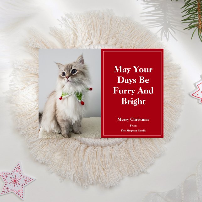Må dina dagar vara ludna och ljusa Julkatten Julkort (Skapare uppladdad)