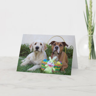 Må ditt påsk vara äggcellskort helgkort