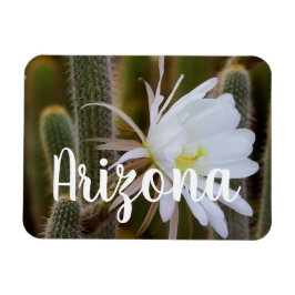 Må i trädgården, Arizona Magnet