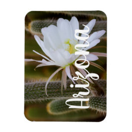 Må i trädgården, Arizona Magnet