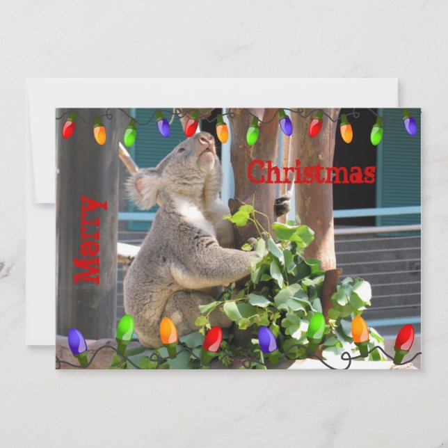 Må Ljus skina ljust. Koala jul Julkort (Framsida)