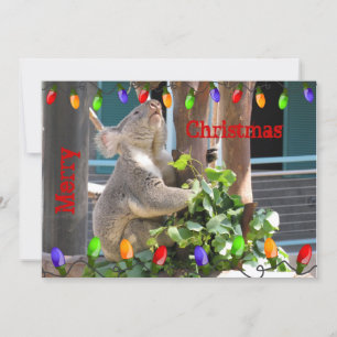 Må Ljus skina ljust. Koala jul Julkort