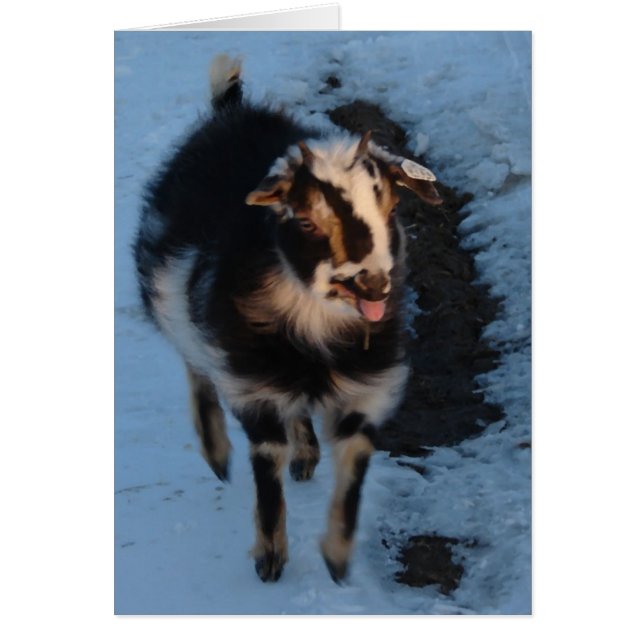 Maa Hälsningskort (Framsidan)