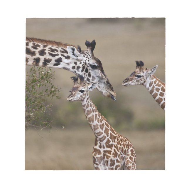 Maasai Giraffe (Giraffe Tippelskirchi) Anteckningsblock (Framsida)