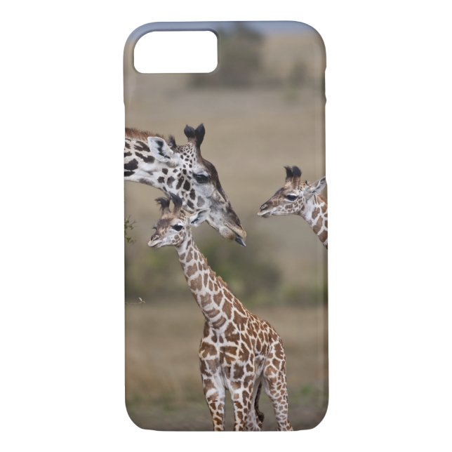 Maasai Giraffe (Giraffe Tippelskirchi) Case-Mate iPhone Skal (Baksida)