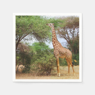 Maasai Giraffe Pappersservett