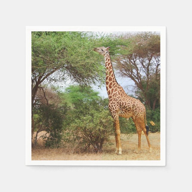 Maasai Giraffe Pappersservett (Framsidan)