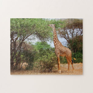 Maasai Giraffe Pussel