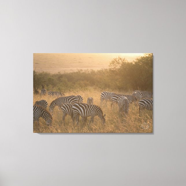 Maasai Morgon Zebrors Wrapped Canvas Skriv ut (Framsida)