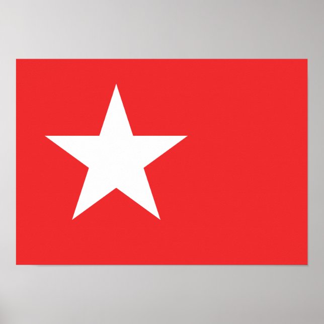 Maastrichtfördragets flagga poster (Framsidan)