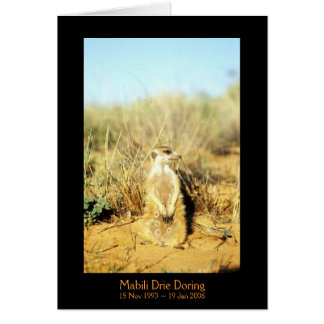 Mabili - legendkort hälsningskort