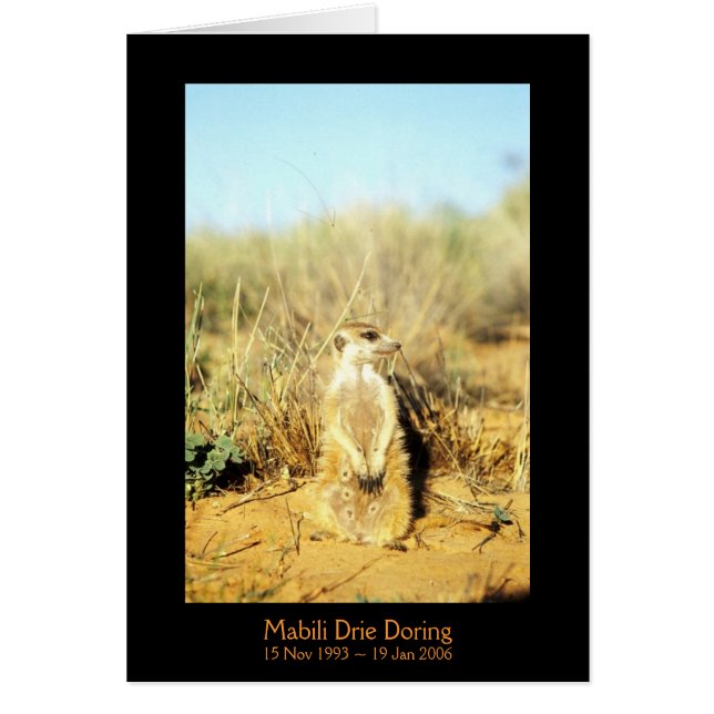 Mabili - legendkort hälsningskort (Framsidan)