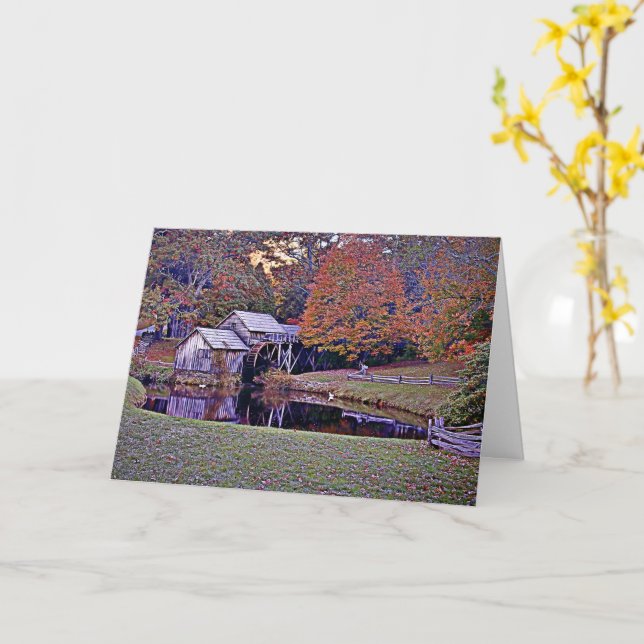Mabry Mill in Fall Greeting Card Kort (Gul blomma)