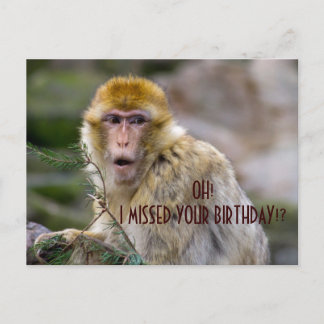 Macaca sylvanus vykort