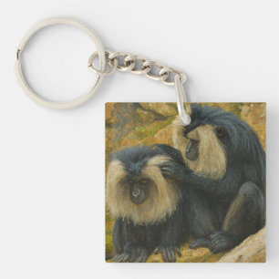 Macaque Bond - Grooming Ritual