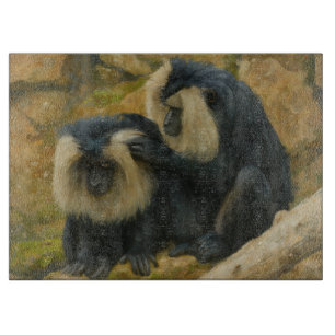 Macaque Bond - Grooming Ritual