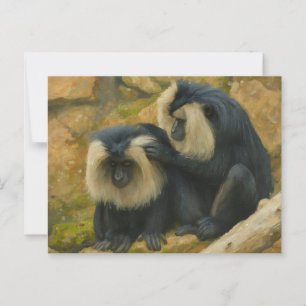 Macaque Bond - Grooming Ritual Vykort